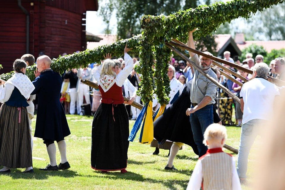 Personer reser midsommarstång.